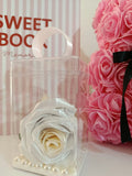 Rose éternel blanche